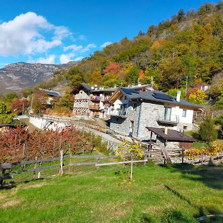 Le Sapin Des Vuillermin Cir0080 Apartment Saint-Vincent Luaran gambar